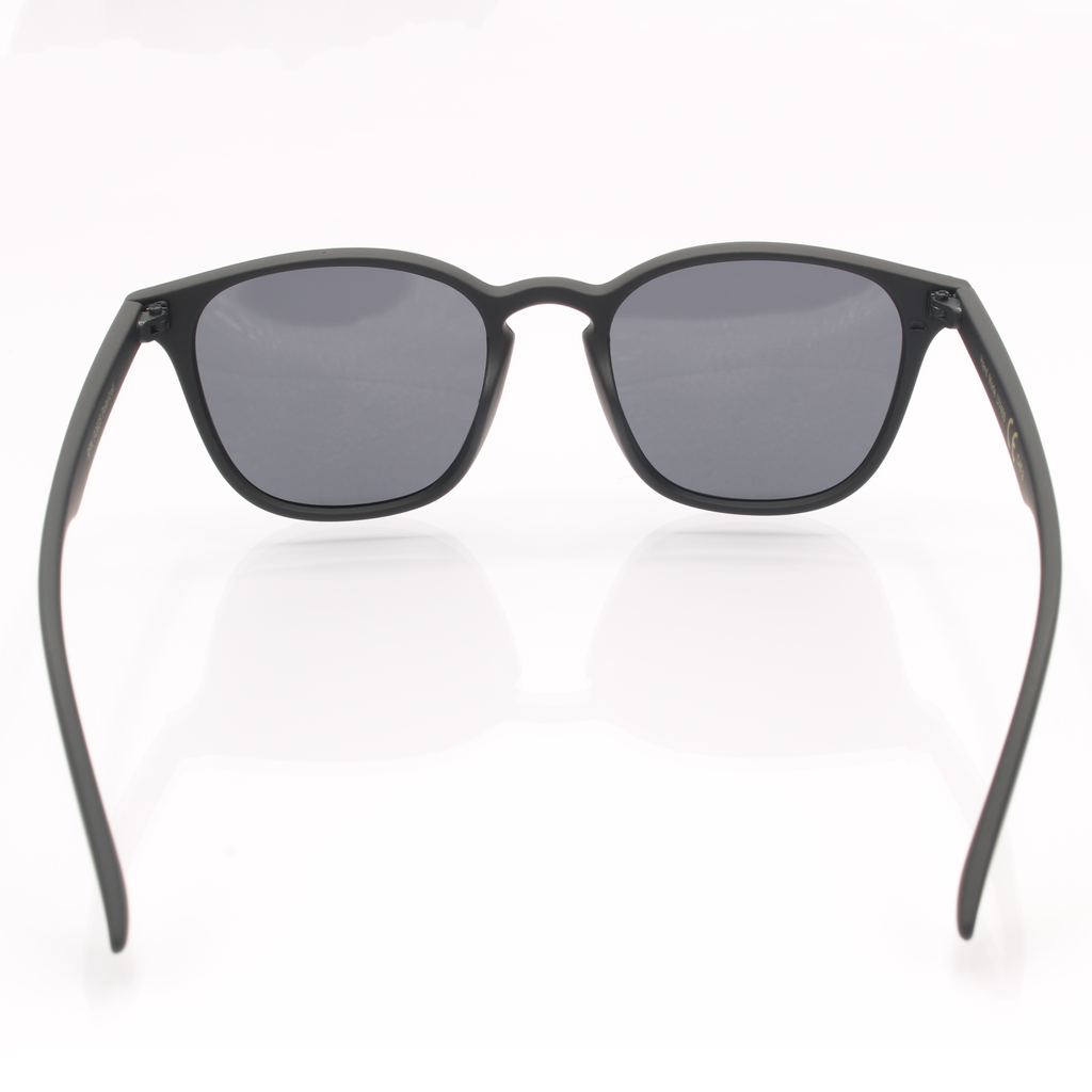 RPN Moody Ⅱ Polarisoitu